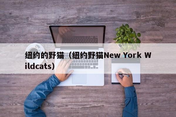 纽约的野猫（纽约野猫New York Wildcats）