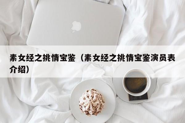 素女经之挑情宝鉴（素女经之挑情宝鉴演员表介绍）