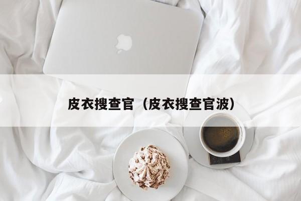皮衣搜查官（皮衣搜查官波）