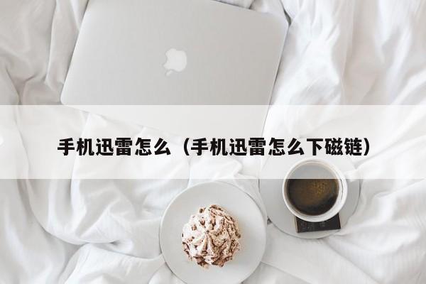 手机迅雷怎么（手机迅雷怎么下磁链）